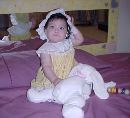 click for larger image