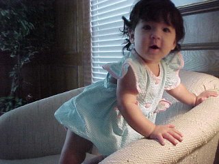 click for larger image