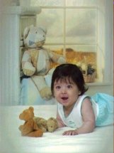 click for larger image