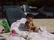 click for larger image