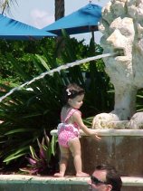 click for larger image