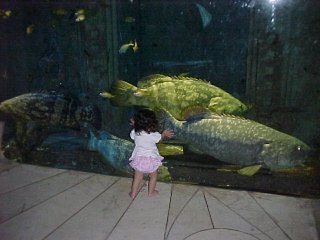 click for larger image