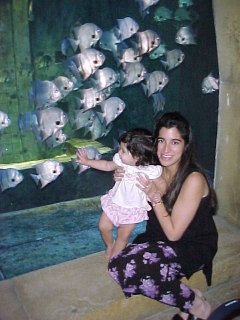 click for larger image