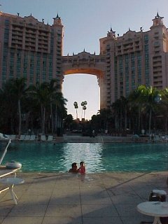 click for larger image