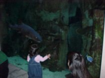 click for larger image