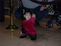 click for larger image