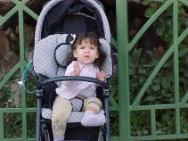 click for larger image