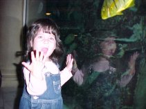 click for larger image