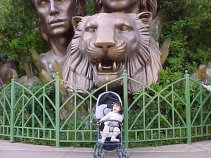 click for larger image