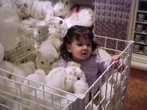 click for larger image